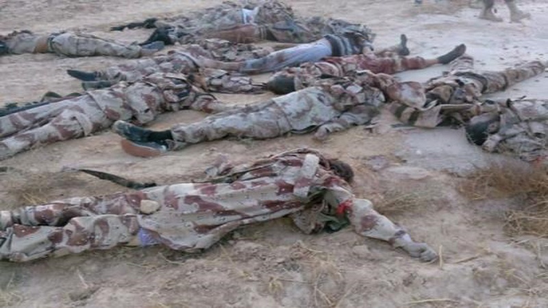 مصر میں 40 دہشت گردوں کی ہلاکت