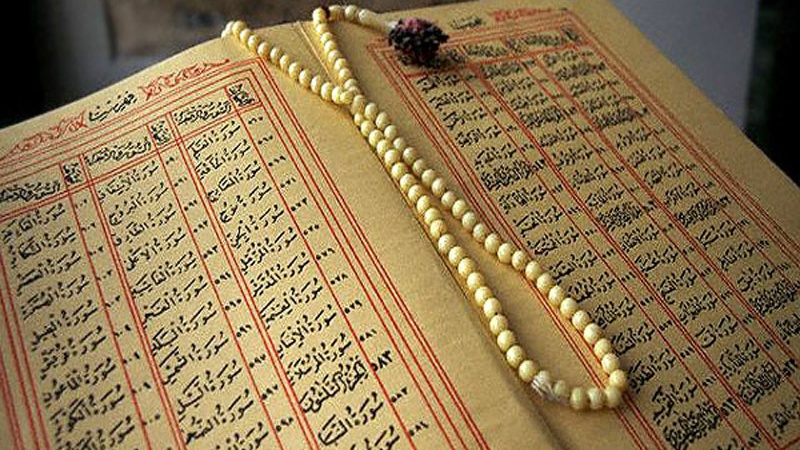 انسانوں کے لئے اللہ کی نعمتیں