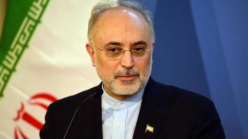 ایران ترقی پذیر ملکوں میں سب سے زیادہ خود مختار، علی اکبر صالحی