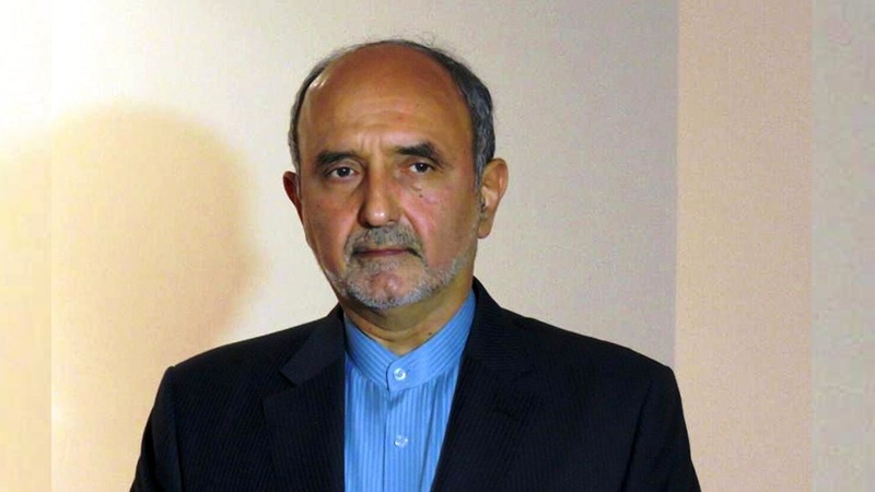 افغانستان میں امن کے لئے علاقائی کوششوں پر زور