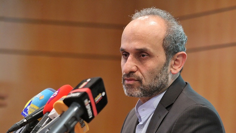مرضیہ ہاشمی پر کوئی الزام عائد نہیں کیا گیا: آئی آر آئی بی