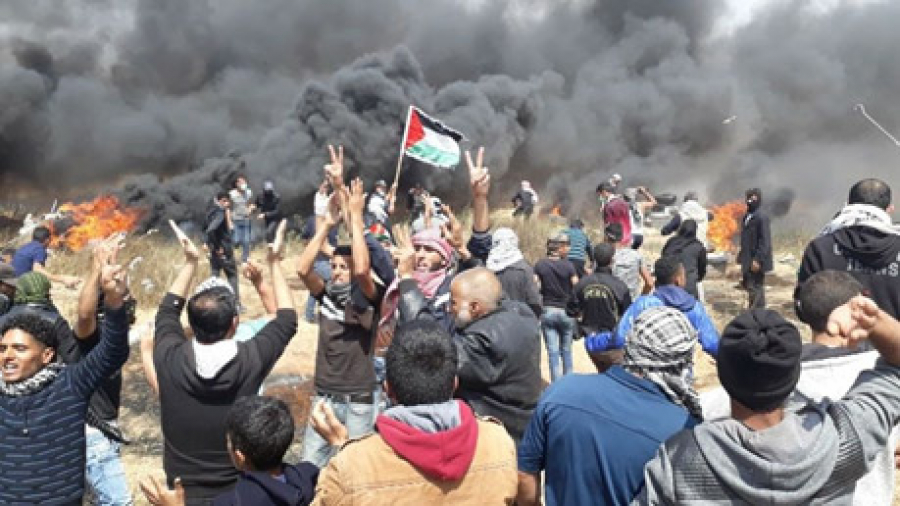 فلسطینیوں کے مارچ پر صیہونی بربریت83 زخمی