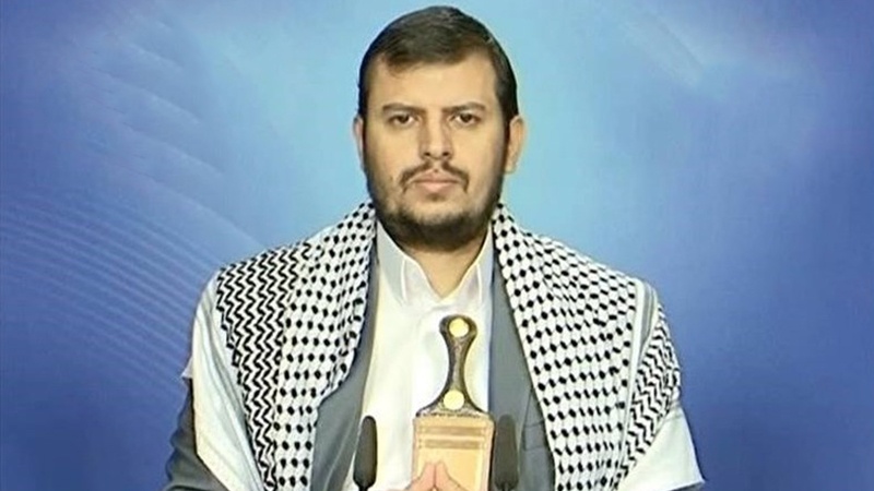 ایران تحریک مزاحمت کا حقیقی حامی، تحریک انصاراللہ