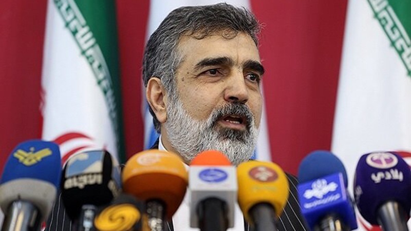 ایران میں یورینیم کی افزودگی مزید بڑھ سکتی ہے، کمالوندی