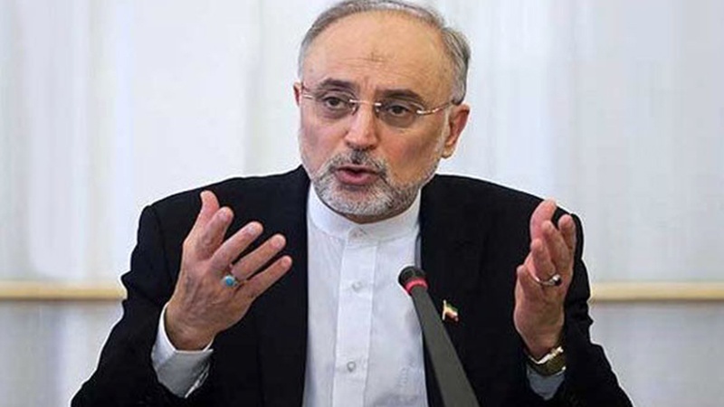 ایٹمی ٹیکنالوجی کا فروغ ایران کا ناقابل انکار حق ہے، علی اکبر صالحی