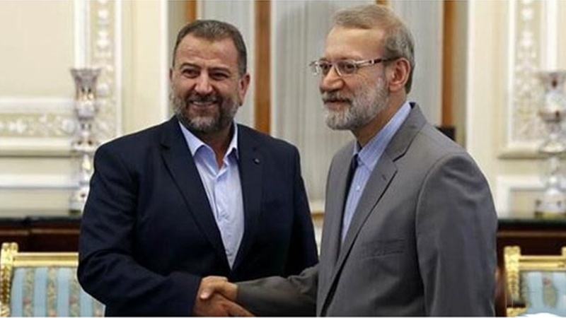 فلسطین کی حمایت جاری رہے گی : علی لاریجانی