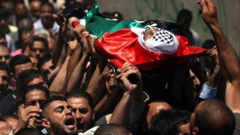 غزہ پر جارحیت میں 3 فلسطینیوں کی شہادت