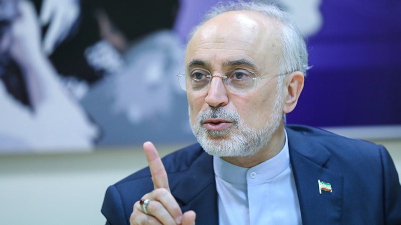 ایران کی جوہری ٹیکنالوجی مقامی ہے: علی اکبر صالحی