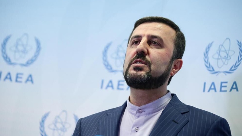 پابندیاں، کثیرالملکی جرائم کی روک تھام کیلئے بڑا خطرہ : ایرانی سفیر