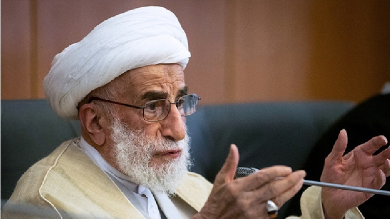 استقامت علاقے میں نتیجہ خیز ثابت ہوئی ہے : آیت اللہ جنتی