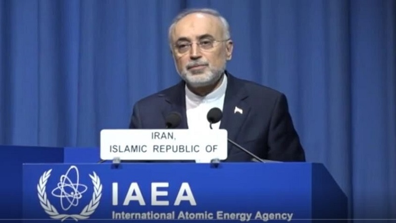 ایران کی ایٹمی ترقی کا عمل جاری رہے گا، علی اکبر صالحی