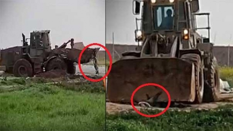 فلسطینی شہید کے جسد کی صیہونیوں نے کی بے حرمتی-