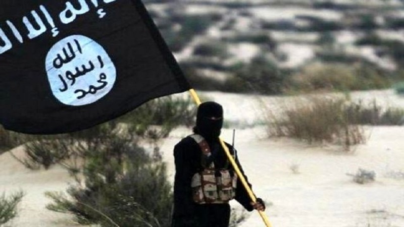 داعش نے سعودی عرب کی حمایت میں انصار اللہِ یمن کے خلاف اعلانِ جنگ کیا