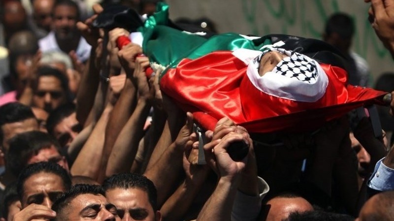صیہونی فوجیوں کی فائرنگ سے ایک فلسطینی شہید 49 زخمی