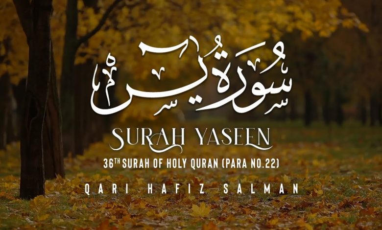 Photo of Surah Yasin| Surah Al Yasin| Surah Al Yaseen